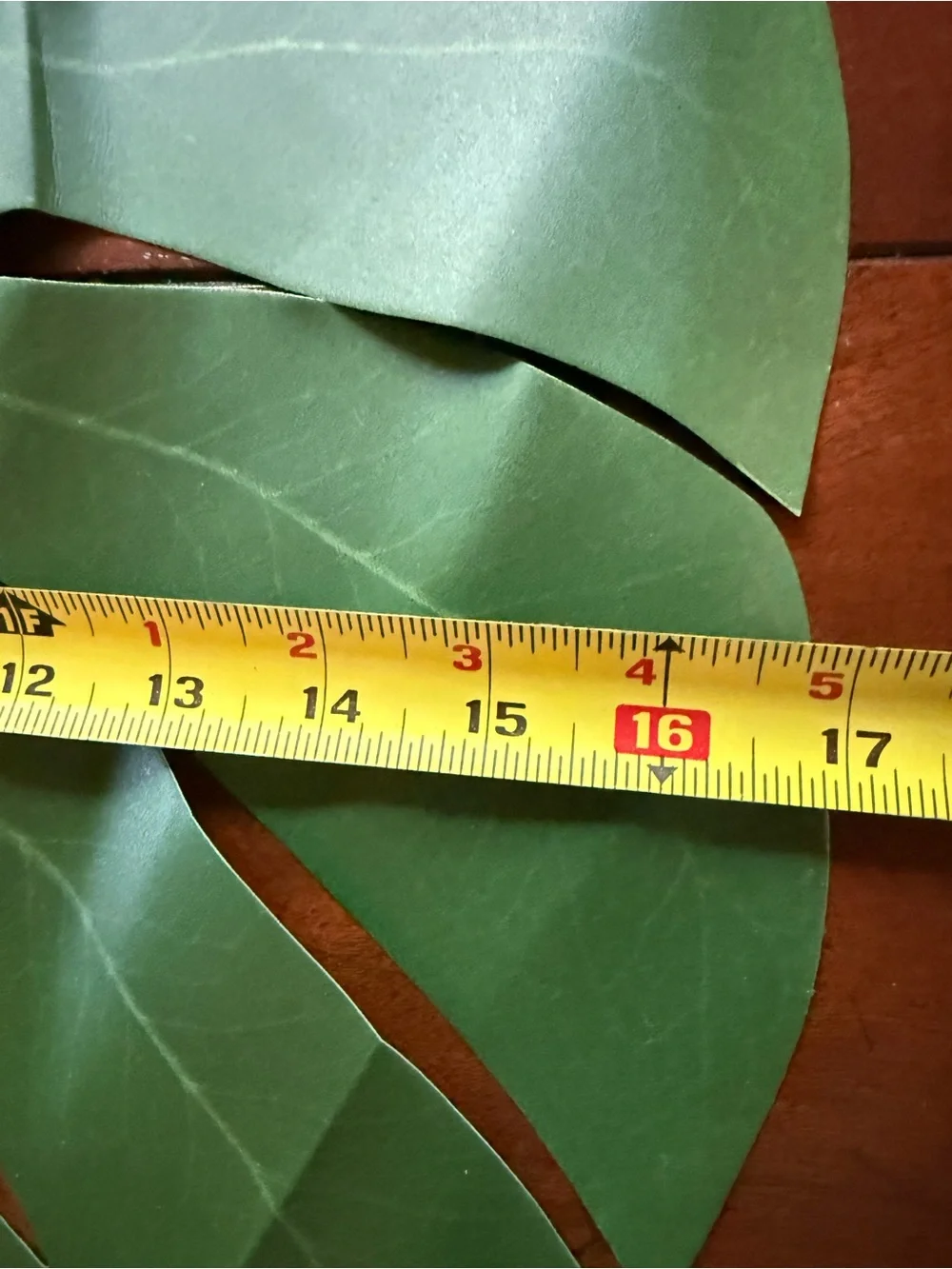 Pottery Barn Palm Leaf Placemat Set of Four